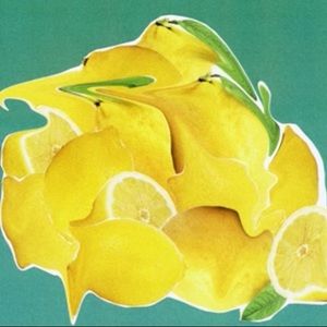 Meet your Posher, Saria